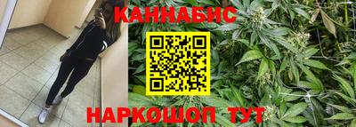 сатива Ангарск