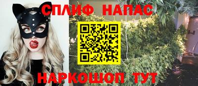 шишки Аша
